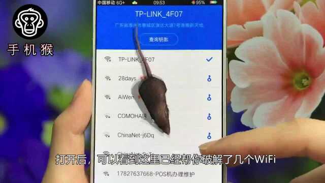 手机流量不够用?教你一键查看对方WiFi密码,真正的蹭网神器