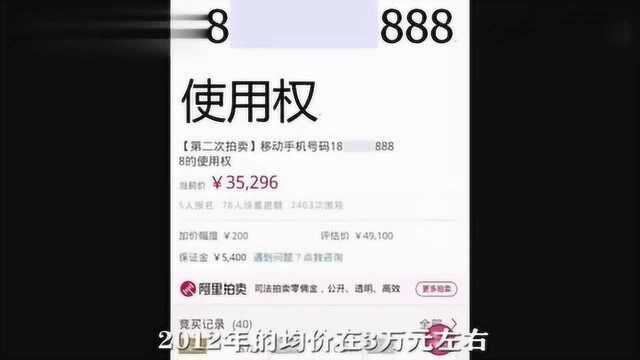 391万买手机号