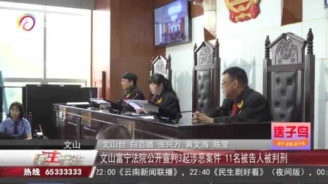 扫黑除恶:文山富宁法院公开宣判3起涉恶案件!11人被判刑