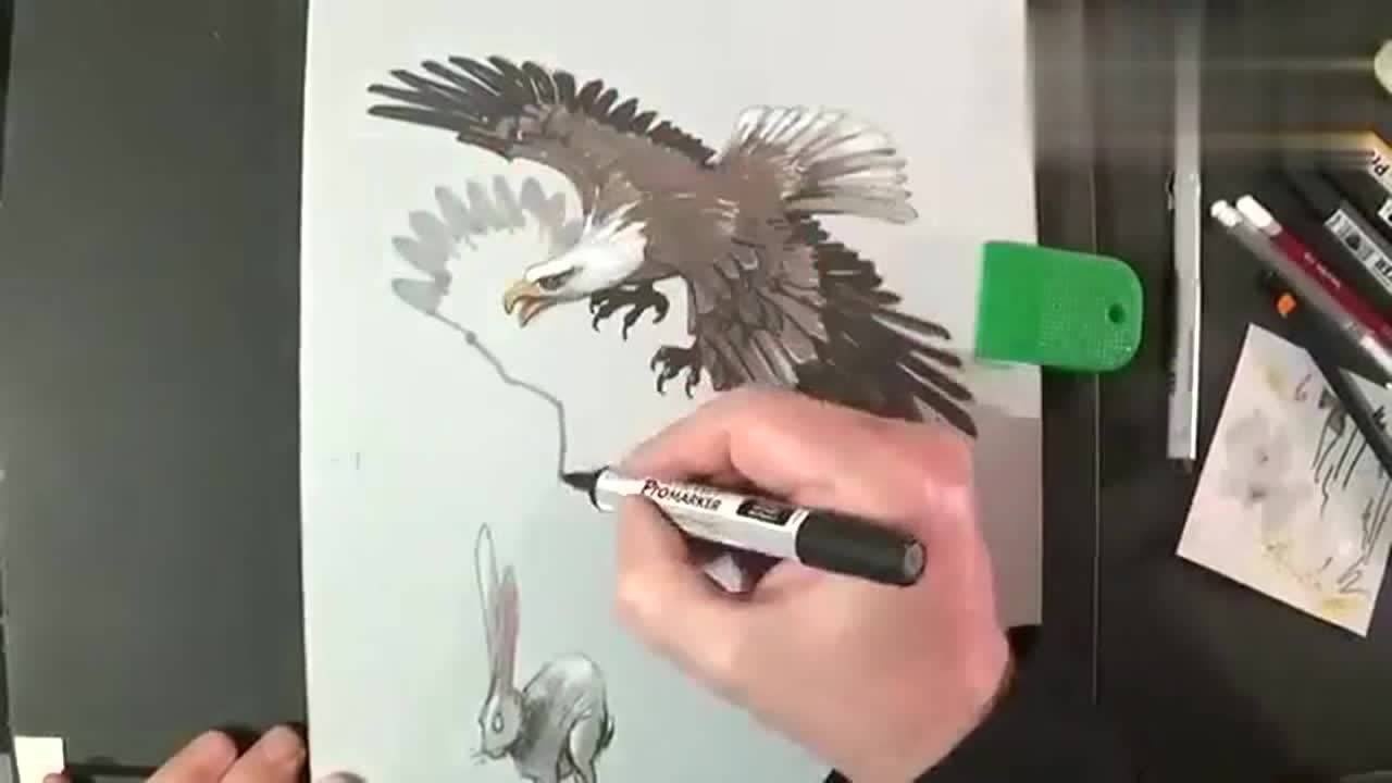 手绘老鹰抓兔子,这阴影效果真不错啊,技术真牛