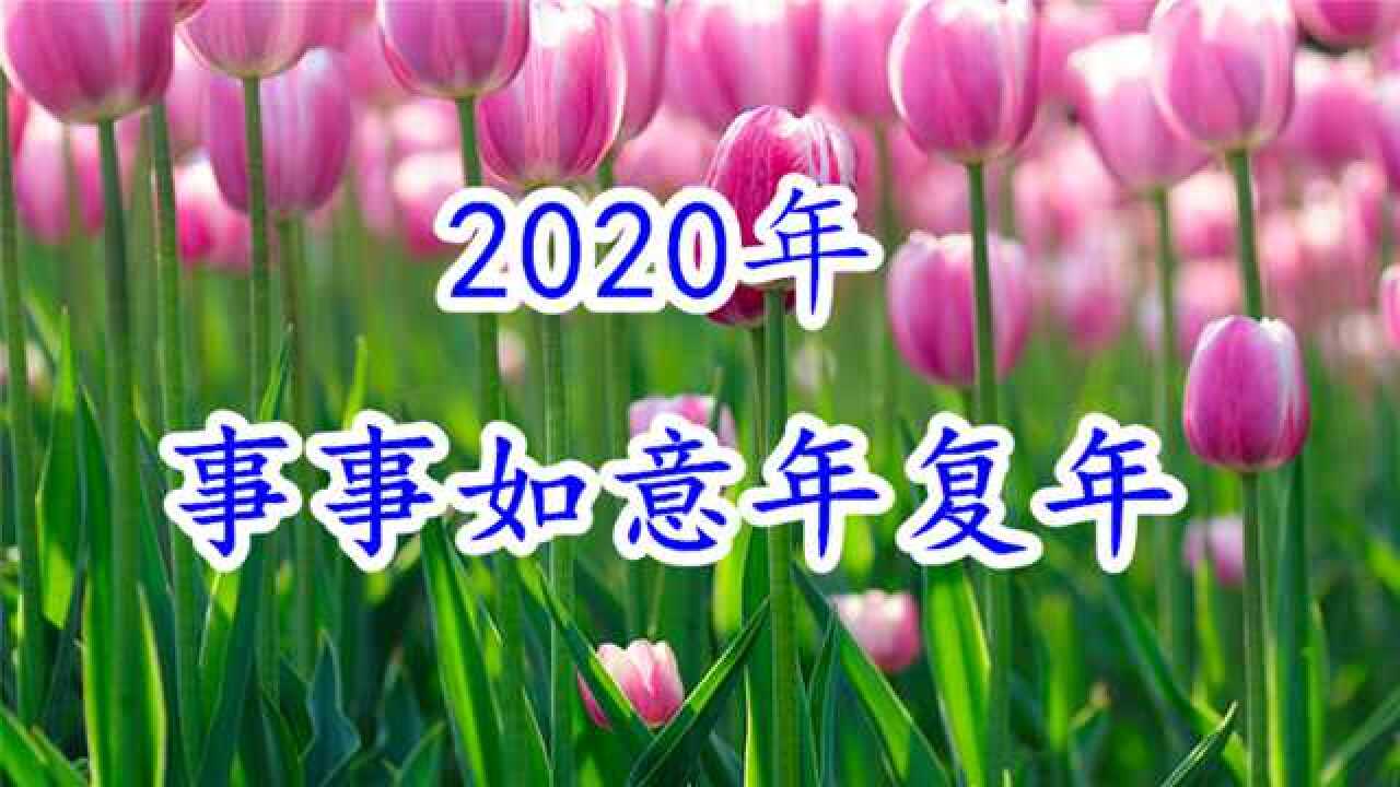 2020新歌春節到事事如意年復年祝你好運年復年健康過新年