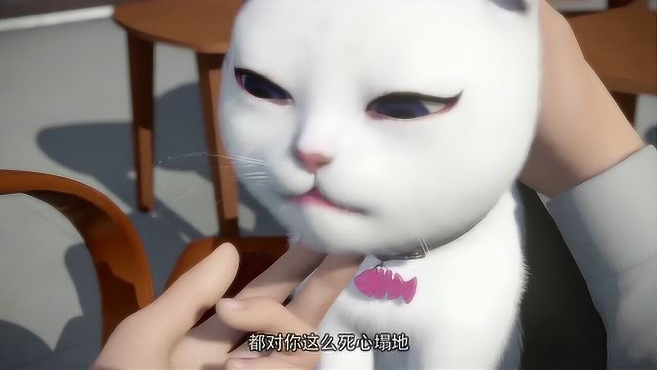 猫妖的诱惑苏冉冉都退化成猫了还对墨卿还这么死心塌地