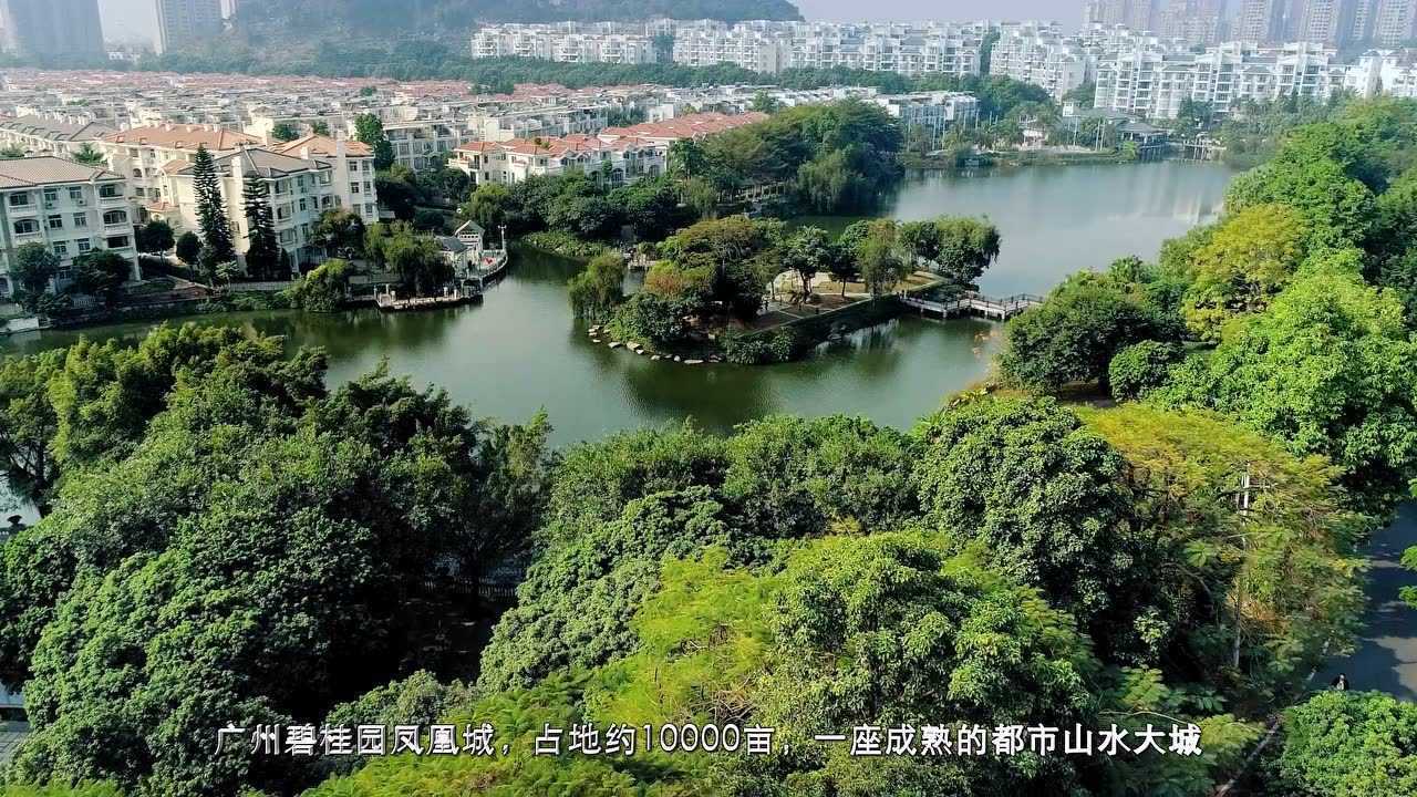 回顾碧桂园28载大城蝶变,南海里水又一大城崛起|广佛里智慧慢城_高清1080P在线观看平台_腾讯视频