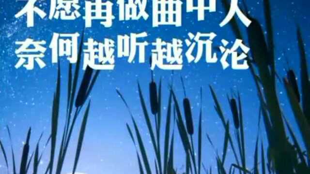 初闻不知曲中意, 在闻已是曲中人