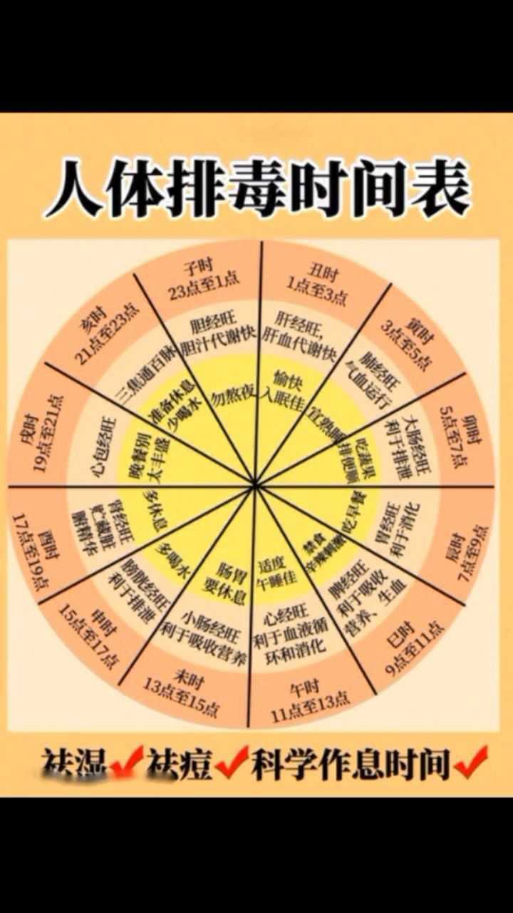 人体排毒时间表