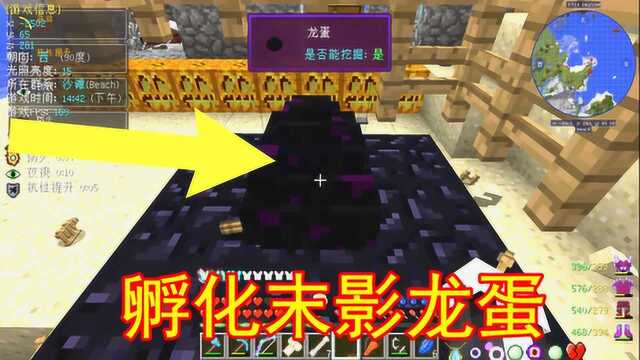 【我的世界末世生存24】你知道如何孵化末影龙蛋吗?