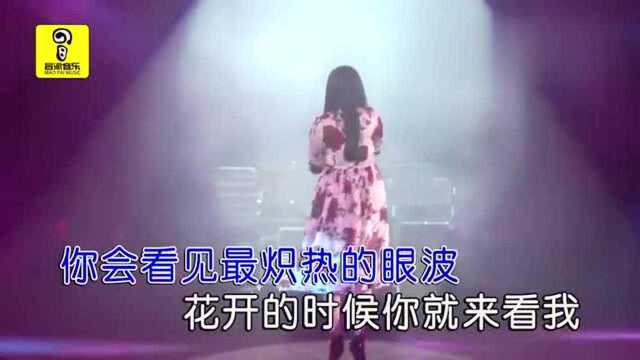 张冬玲非常好听的歌曲—《花开的时候你就来看我》