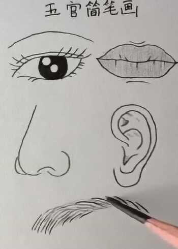 大神画五官,简单又漂亮,看得我真想跟着学一下
