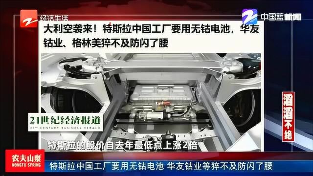 特斯拉中国工厂要用无钴电池 背道而驰的华友钴业、格林美猝然闪了老腰