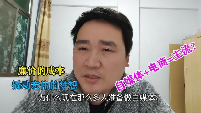 为什么那么多人做自媒体?电商人阿潘:成本低,变现方式非常多样