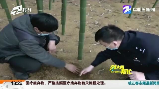 疫情影响雷笋大量滞销 民警“兼职”销售