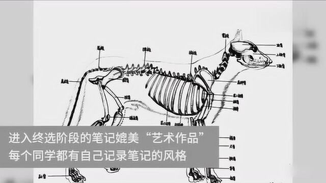 这是我见到的最美的学霸笔记