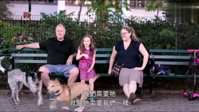 必看啊,Netflix拍了一部狗狗题材的纪录片《爱犬情深》