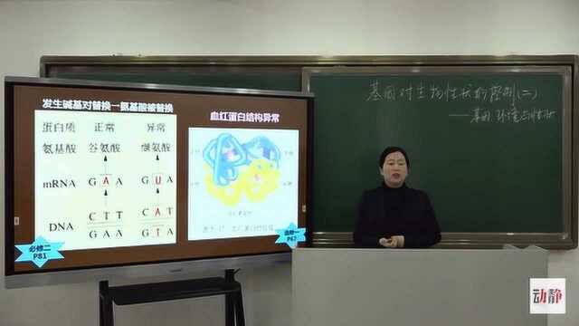 0226003高三理科生物基因对生物性状的控制(二)