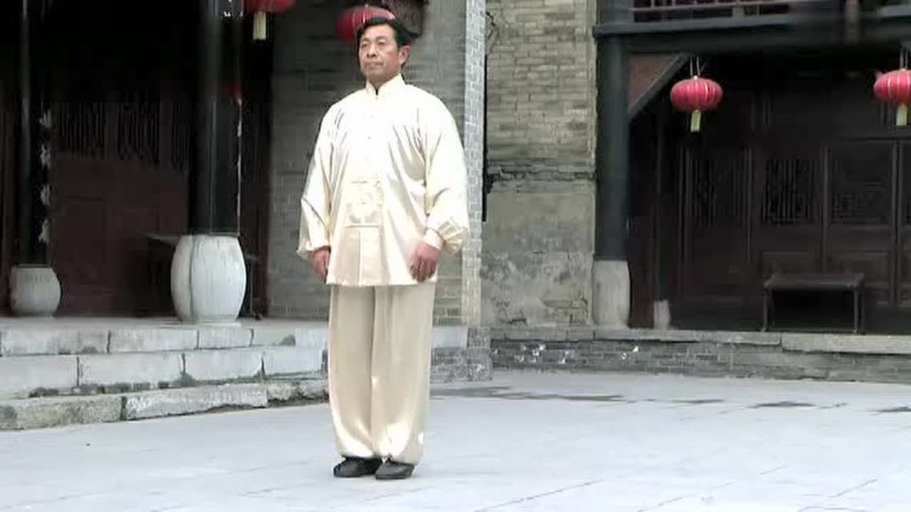 刘想英小架太极拳一路02_高清.mp4