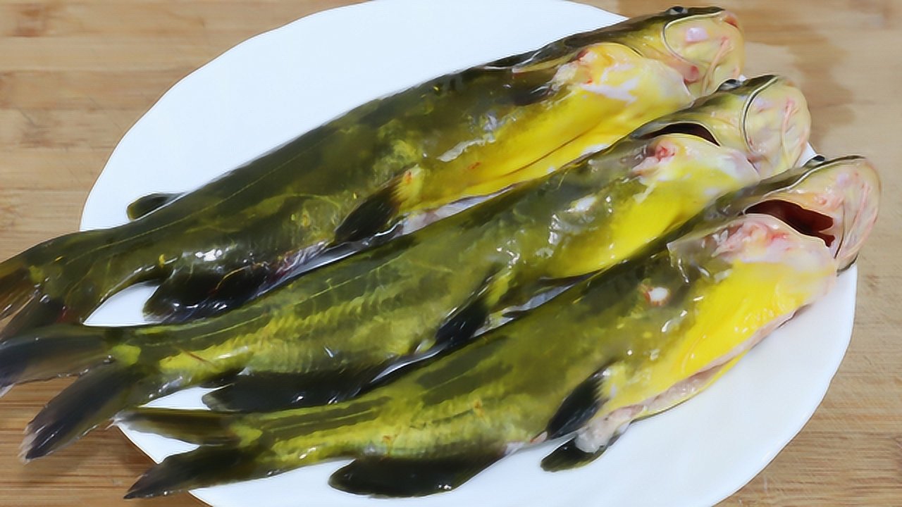 黄辣丁这样做才好吃,大厨教你川味做法,鱼肉鲜嫩不腥,汤汁浓白