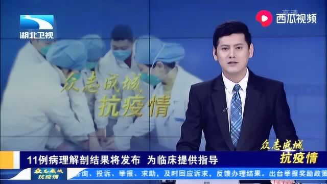 11例病理解剖结果将发布 为武汉临床提供指导抗疫情