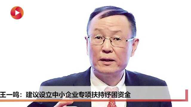 王一鸣:疫情对经济短期影响大,建议设立中小企业专项扶持纾困资金