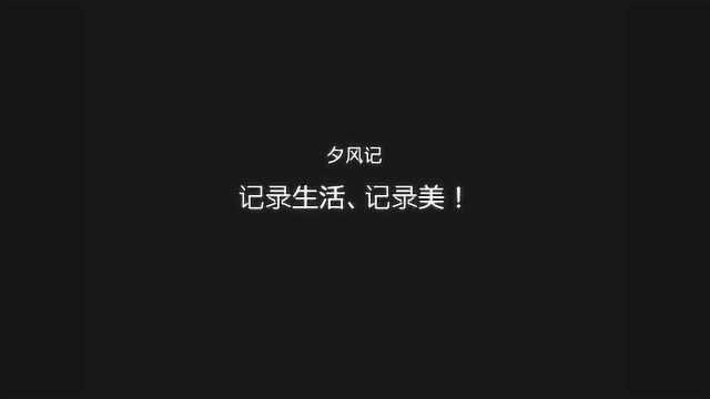 百家号不到3天优先转正、小伙既兴奋又烦恼大家来帮他分析一下吧