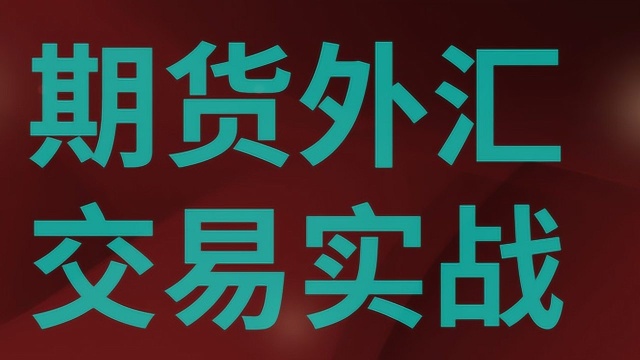 期货外汇交易必修 期货外汇交易实战