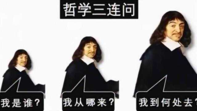 笛卡尔和“心形函数”火了,然而这背后的爱情故事,其实是假的!