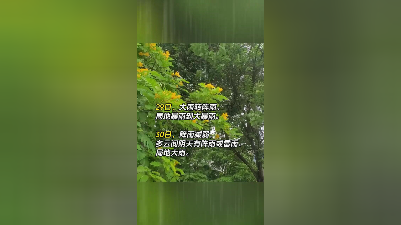 广西壮族自治区钦州市天气今日情况