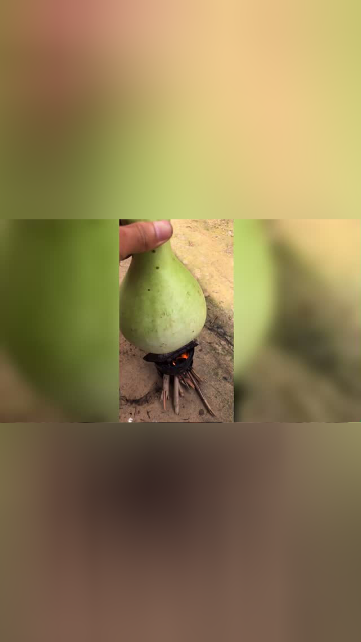这个瓜确实有点太大了实在是放不下了