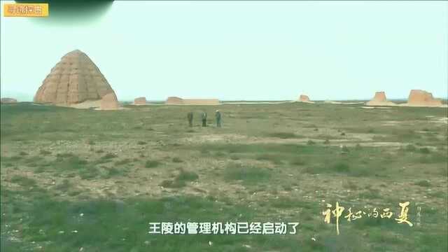 西夏王陵:西夏陵墓不被保护,被破坏严重被遗忘,800年后再度进世人视野