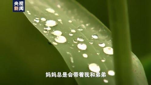 微视频丨端午寻根 习近平：中华优秀传统文化是中华民族的精神命脉