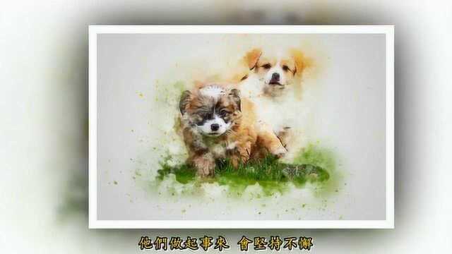 6月27号开始这几个生肖,大笔钞票滚滚来