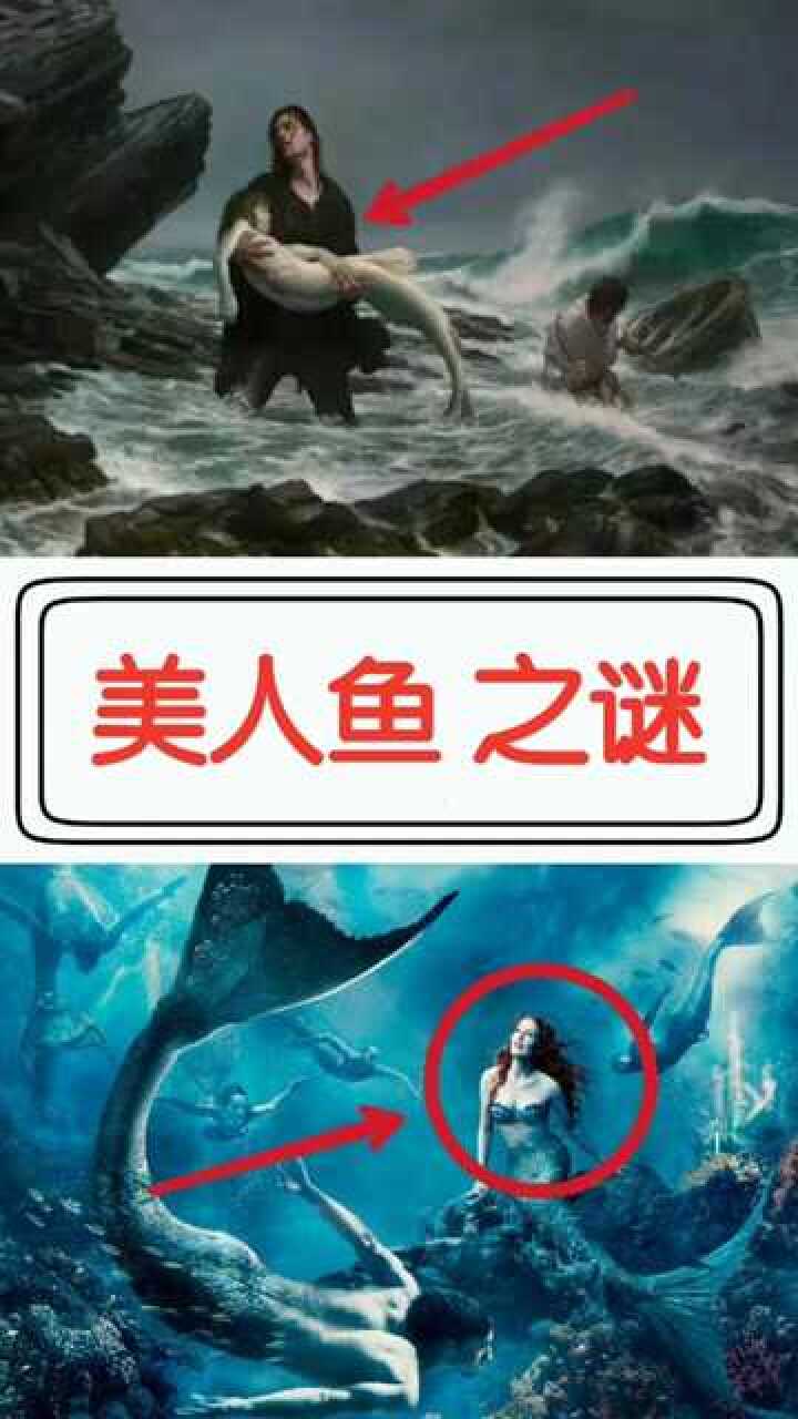 地球上是否真实存在美人鱼呢
