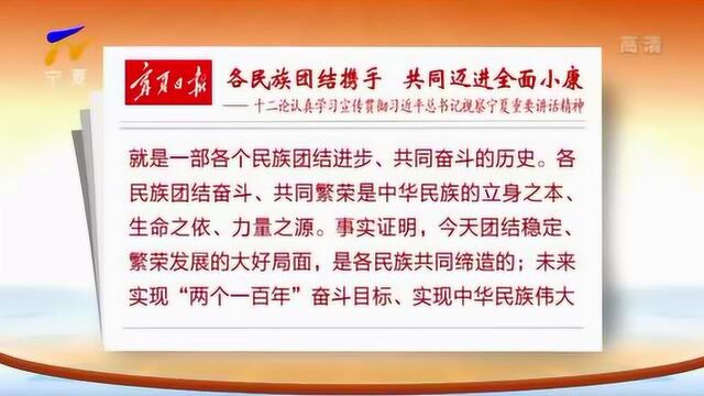 宁夏日报:各民族团结携手 共同迈进全面小康