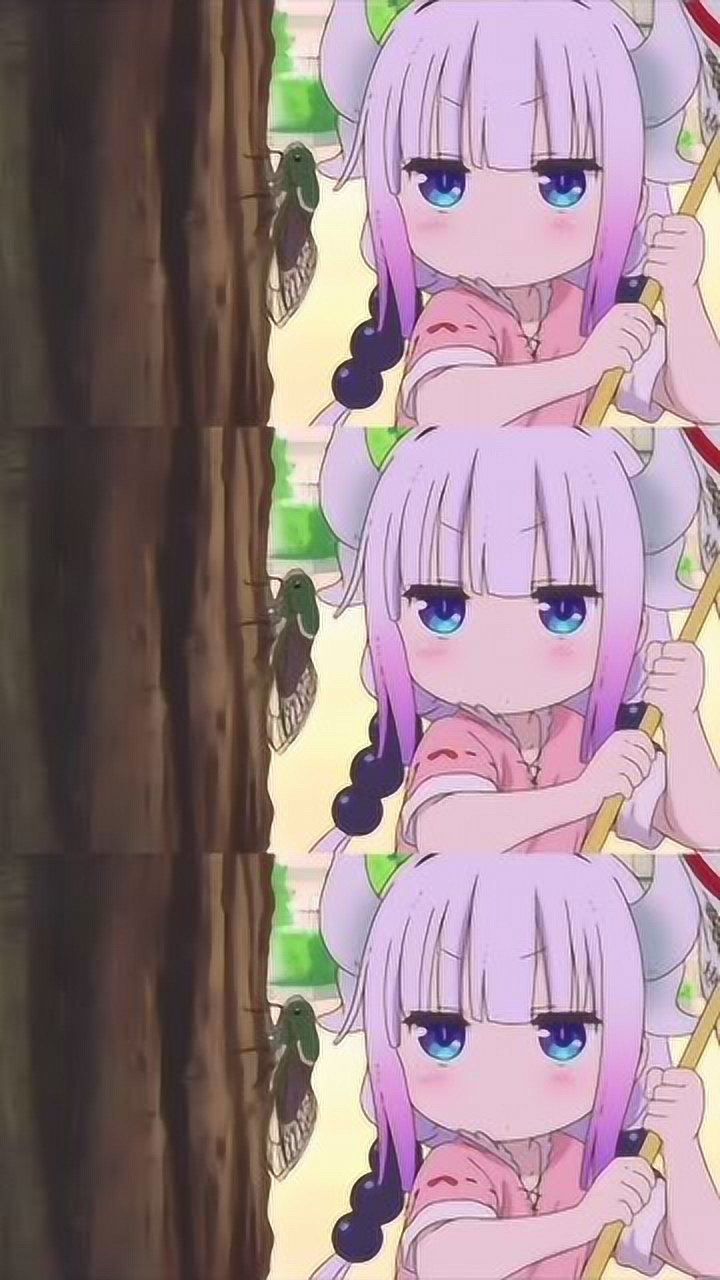 小林家的龙女仆:蝉在叫,康娜吃掉