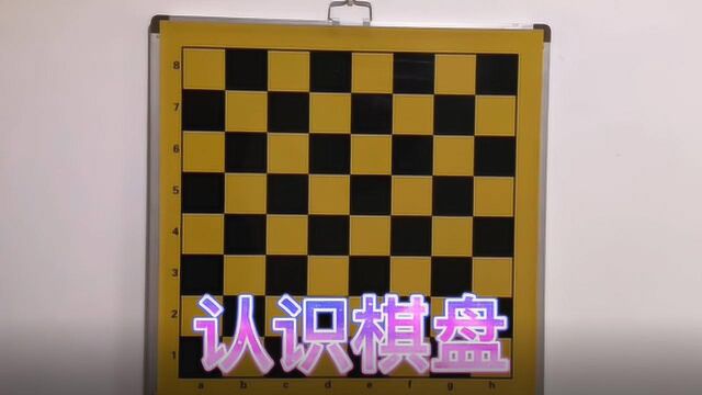 国际象棋入门教程(1)—认识棋盘