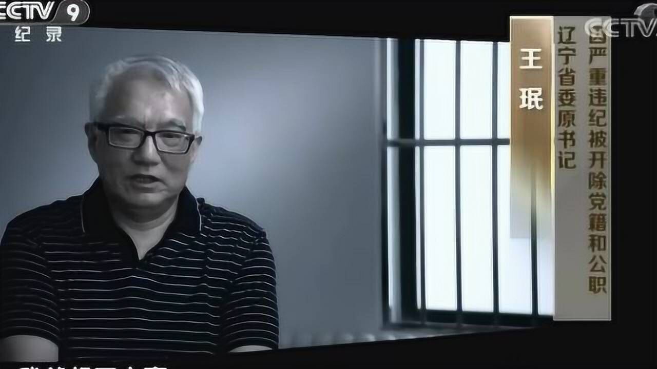 辽宁落马省委书记王珉:能保护就少抓,希望大家软着陆_高清1080P在线观看平台_腾讯视频