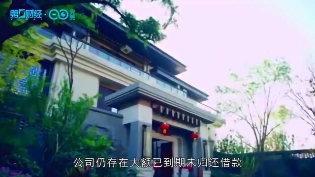 债务违约仍收获三连板 谁在泰禾身上“火中取栗”?