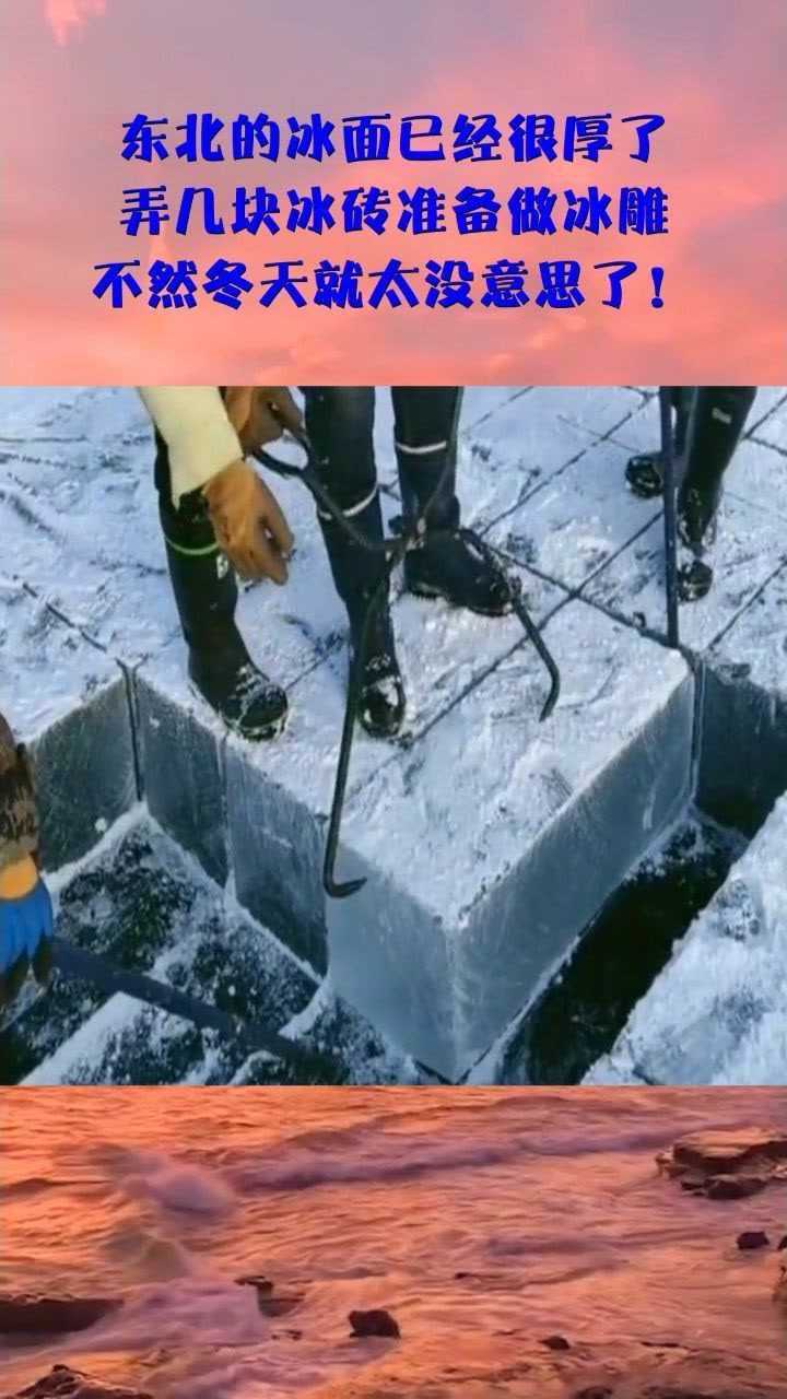 东北的冰面已经很厚了弄几块冰砖准备做冰雕不然冬天就太没意思了