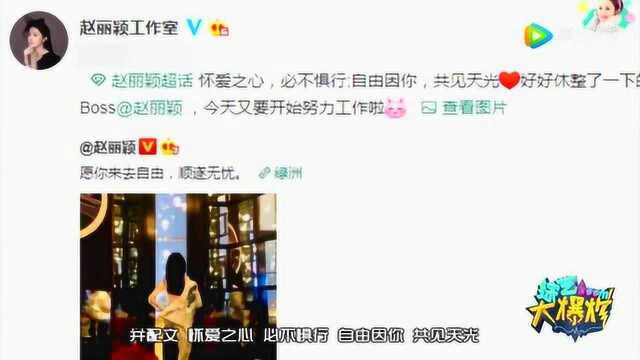 综艺大爆炸:赵丽颖背影照 窗边远眺苗条气质优雅 粉丝直呼:等一个转身