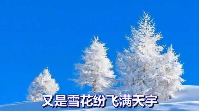 一首网络情歌《飘雪的季节更想你》