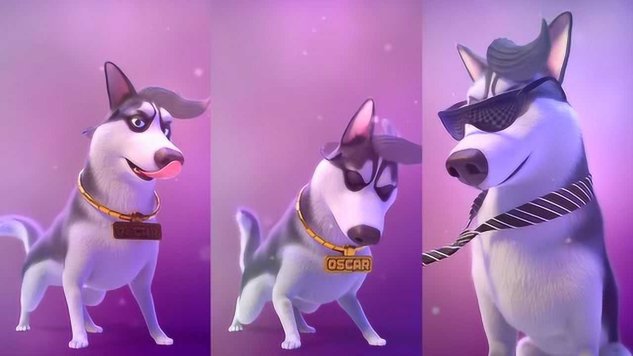 飞狗moco:带上墨镜的奥斯卡,就是这条街最靓的崽!