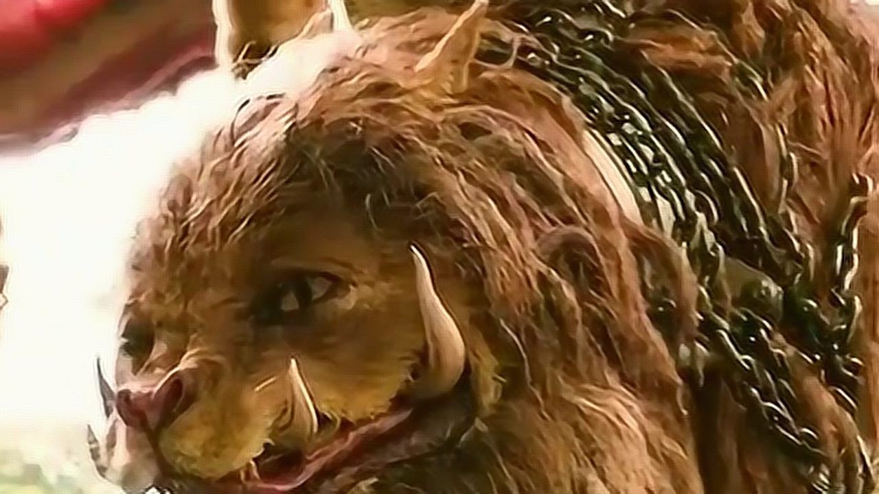 我们的神兽都被外国拍出来了你们知道这神兽叫什么吗