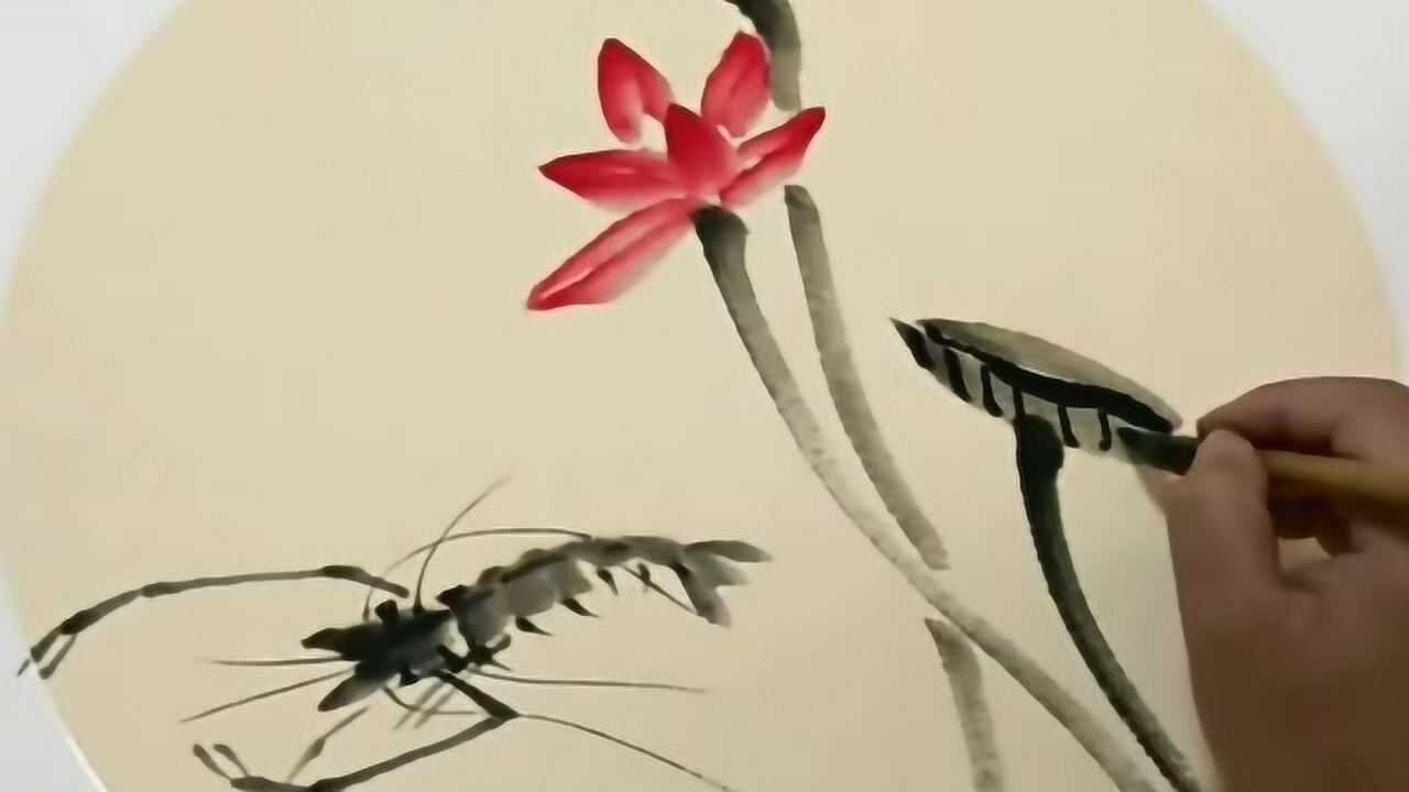 国画写意水墨荷花荷叶虾游图寥寥数笔生动形象