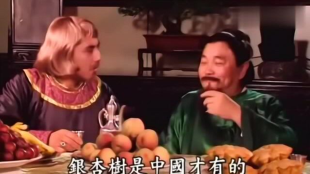 济公游记:胡商要买下千年银杏树,竟是为了给自己做上好的棺木!