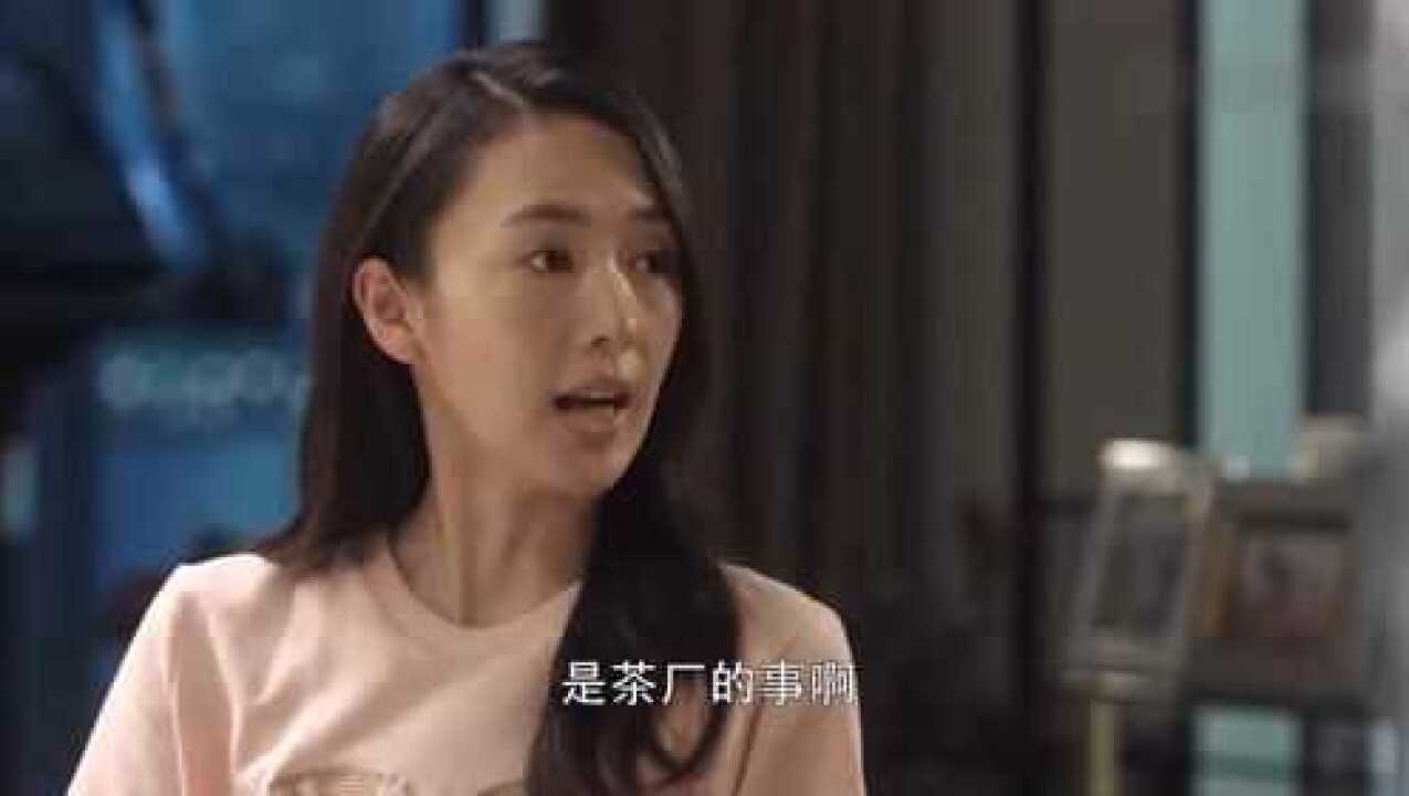 三十而已:顾佳许幻山起争执,顾父凭实力和稀泥_高清1080P在线观看平台_腾讯视频