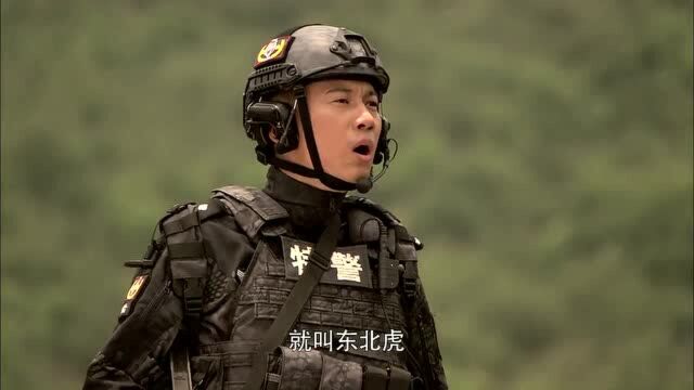 新入伍特警起代号,女孩居然给自己起个代号叫母老虎,太威猛了