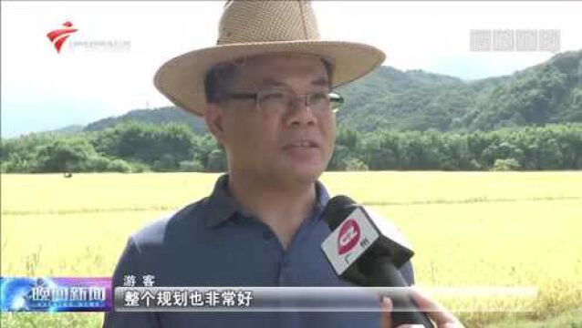 从化米埗:乡村“华丽转身” 民宿旅游发展旺