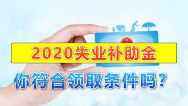 2020失业人员可以领一笔钱,最长能领6个月,看看你符合条件吗?