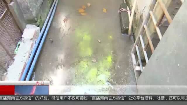 一墙之隔建两个污水池 多次投诉不见改观