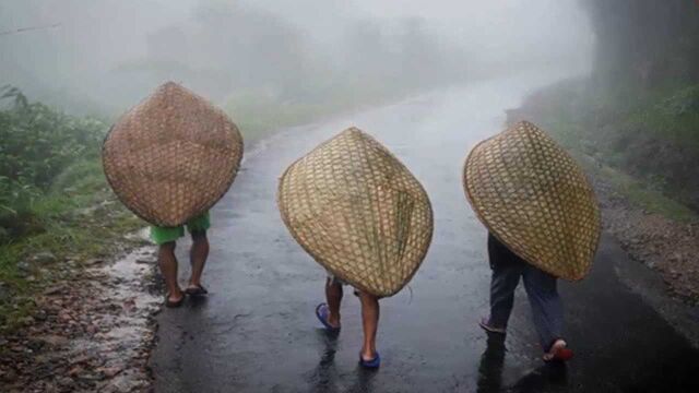 陆地上最潮湿的地方,年降水量11871毫米,出门打伞都没用!