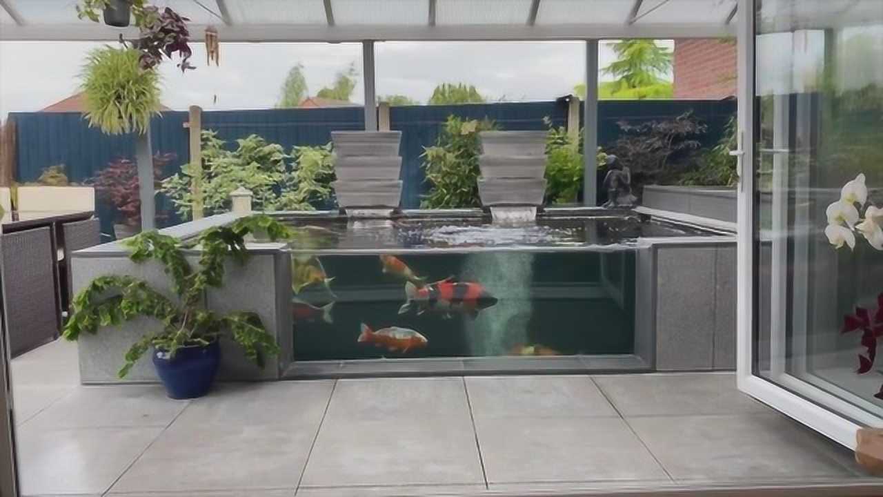 喜欢养鱼在自家院子里造了一口鱼池隔着玻璃观赏意境好美